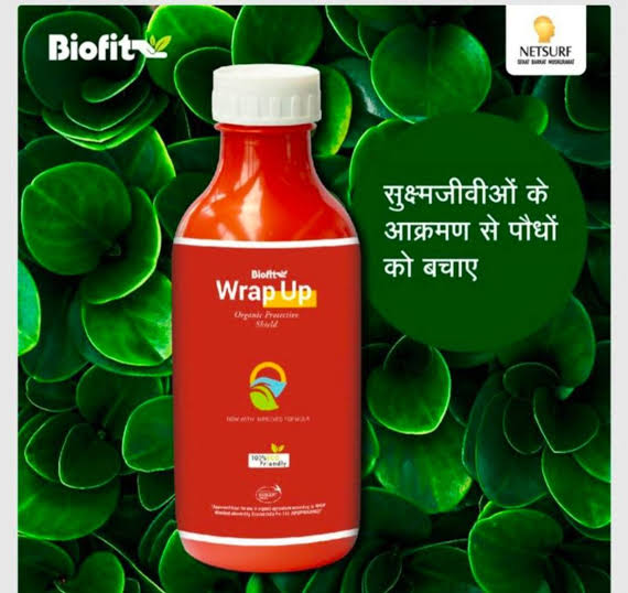 Biofit WrapUp 1000ml